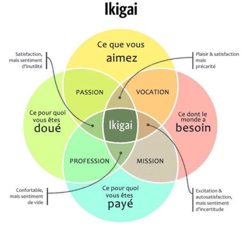 You are currently viewing Trouvez votre IKIGAI